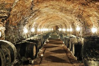 🍷 Are you ready to redefine your wine experience? 🍷 If you think you've tasted it all, think again. Tokaj wines offer a...